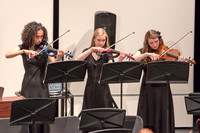 SEHS Spring Orchestra Concert 2016