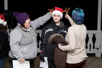Bartlett Tree Lighting 2015